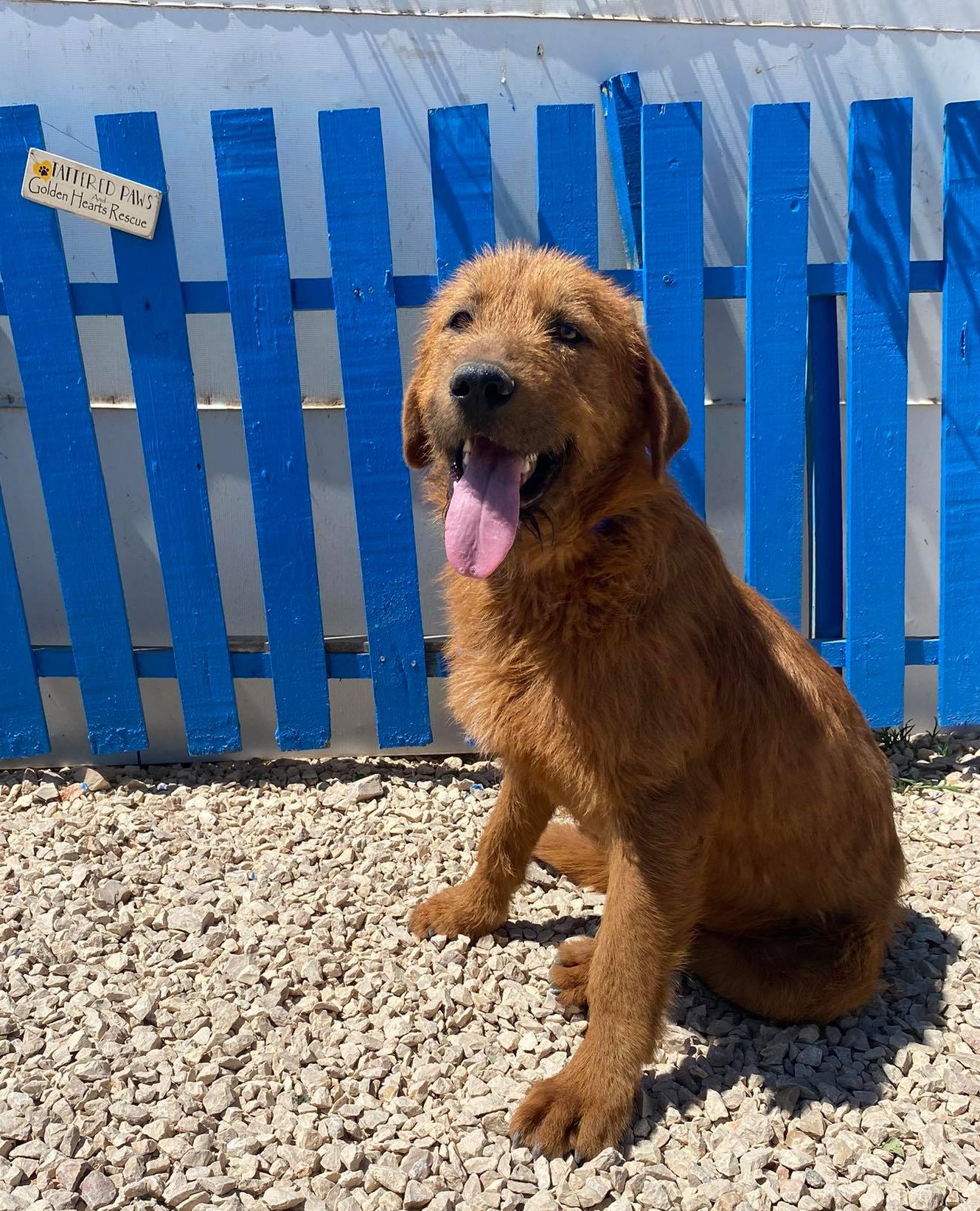 Roland (fka Emerson)